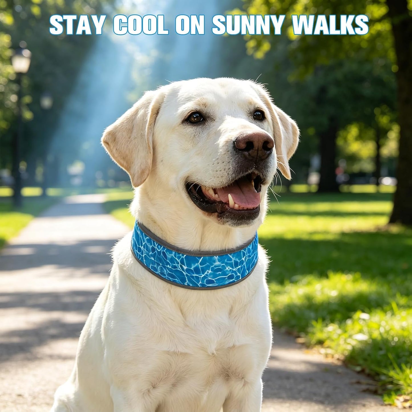 Stay Cool This Summer with Our Adjustable Reflective Dog Cooling Bandana - Perfect for All Breeds!